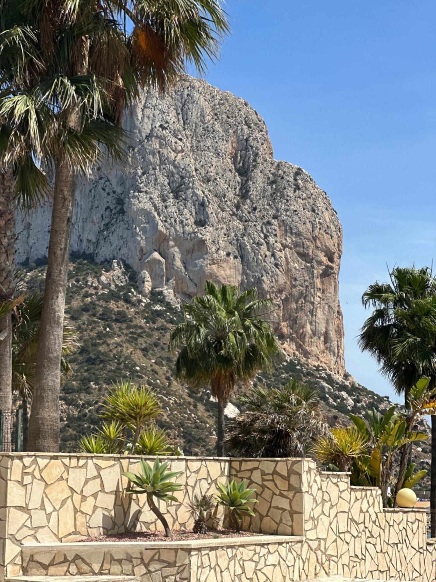 קלפה Green Lagoon מראה חיצוני תמונה